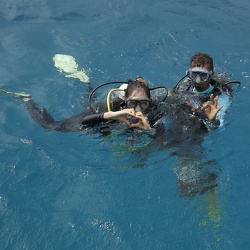 Dive Club Maldives